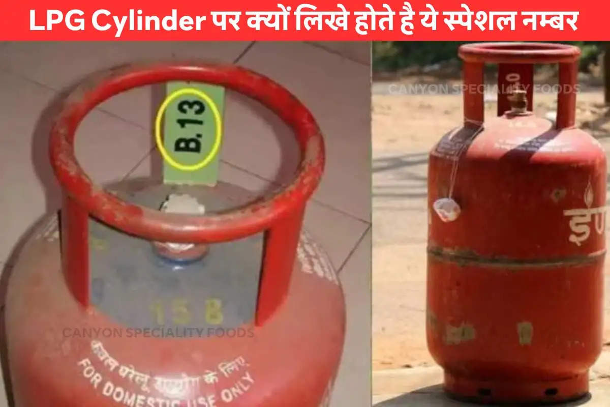 हर बार जब भी घर आए LPG Cylinder- बस चेक कर लें इस पर लिखा 'स्पेशल नंबर', पता लग जाएगा कब तक चलेगा सिलेंडर