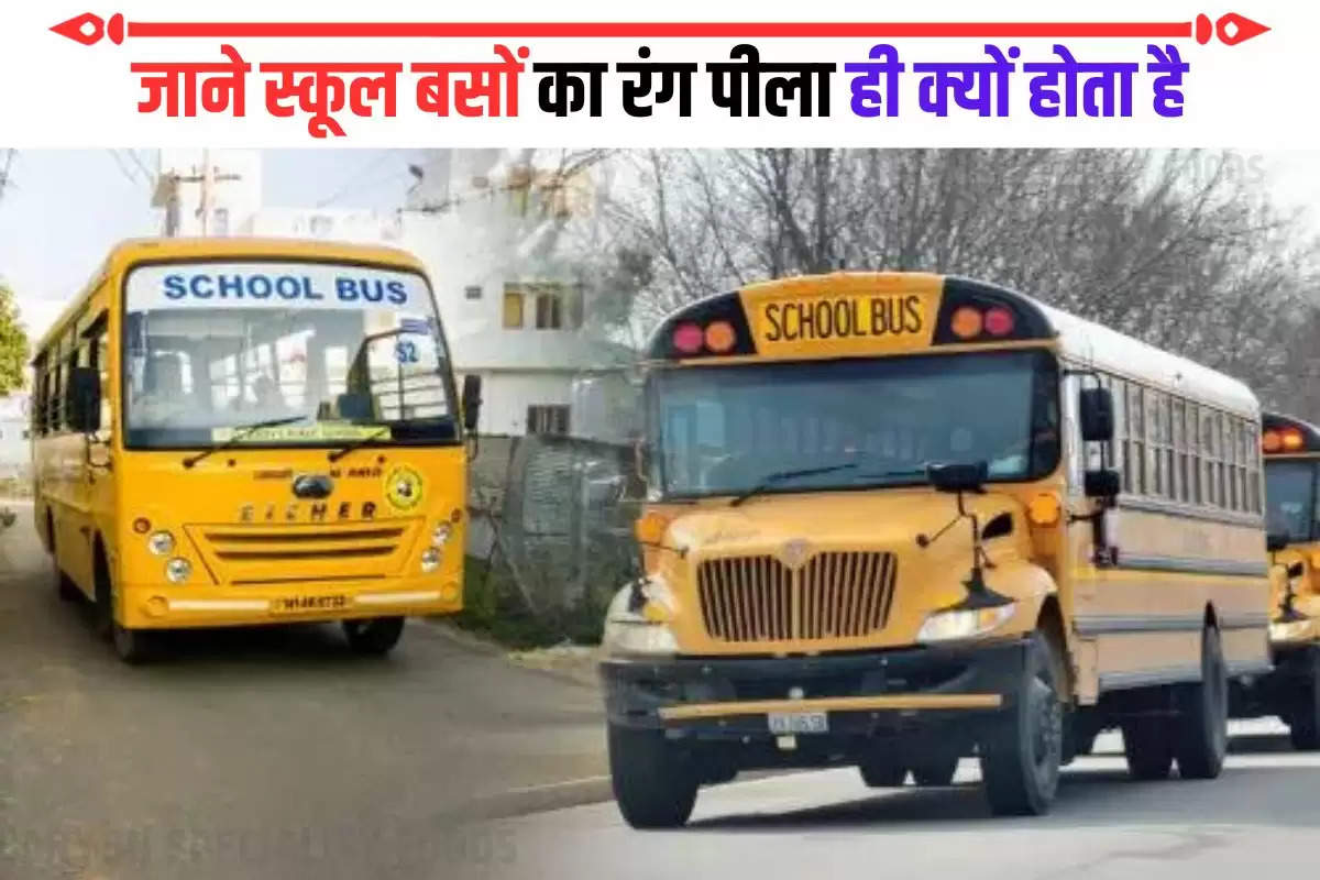 School Bus Colour