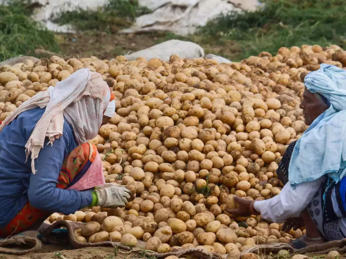 potato-prices-rising-again