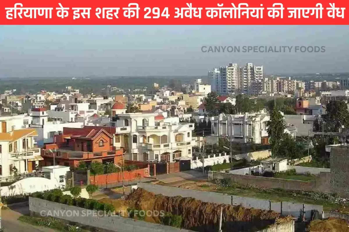 Gurugram 294 unauthorised colonies will regularised