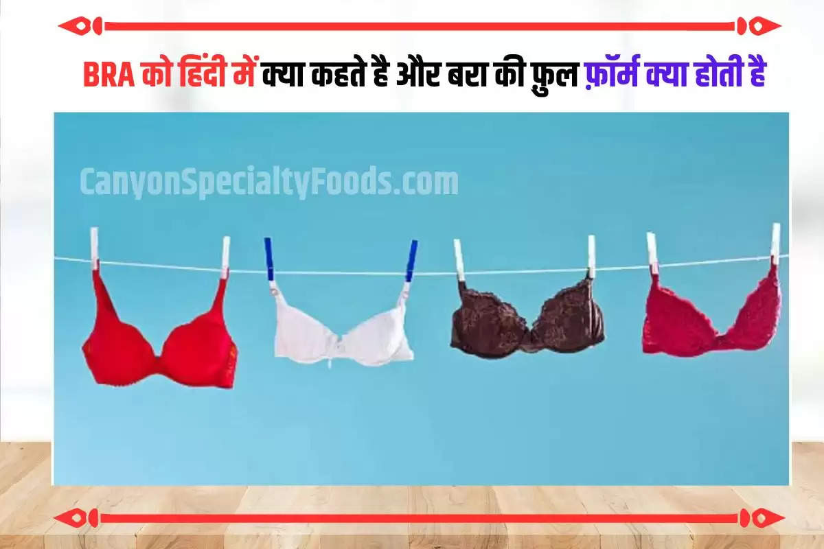 क्या है BRA का पूरा नाम? हिन्दी में ब्रा को क्या कहते हैं? जानिए लोगों ने  सोशल साइट पर दिए कैसे जवाब - what is the full form of bra what is