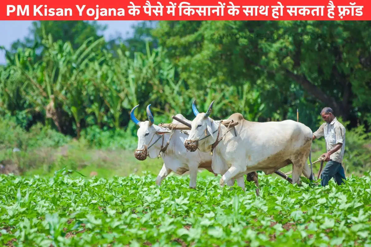 PM Kisan Yojana के पैसे में किसानों के साथ हो सकता है फ़्रॉड