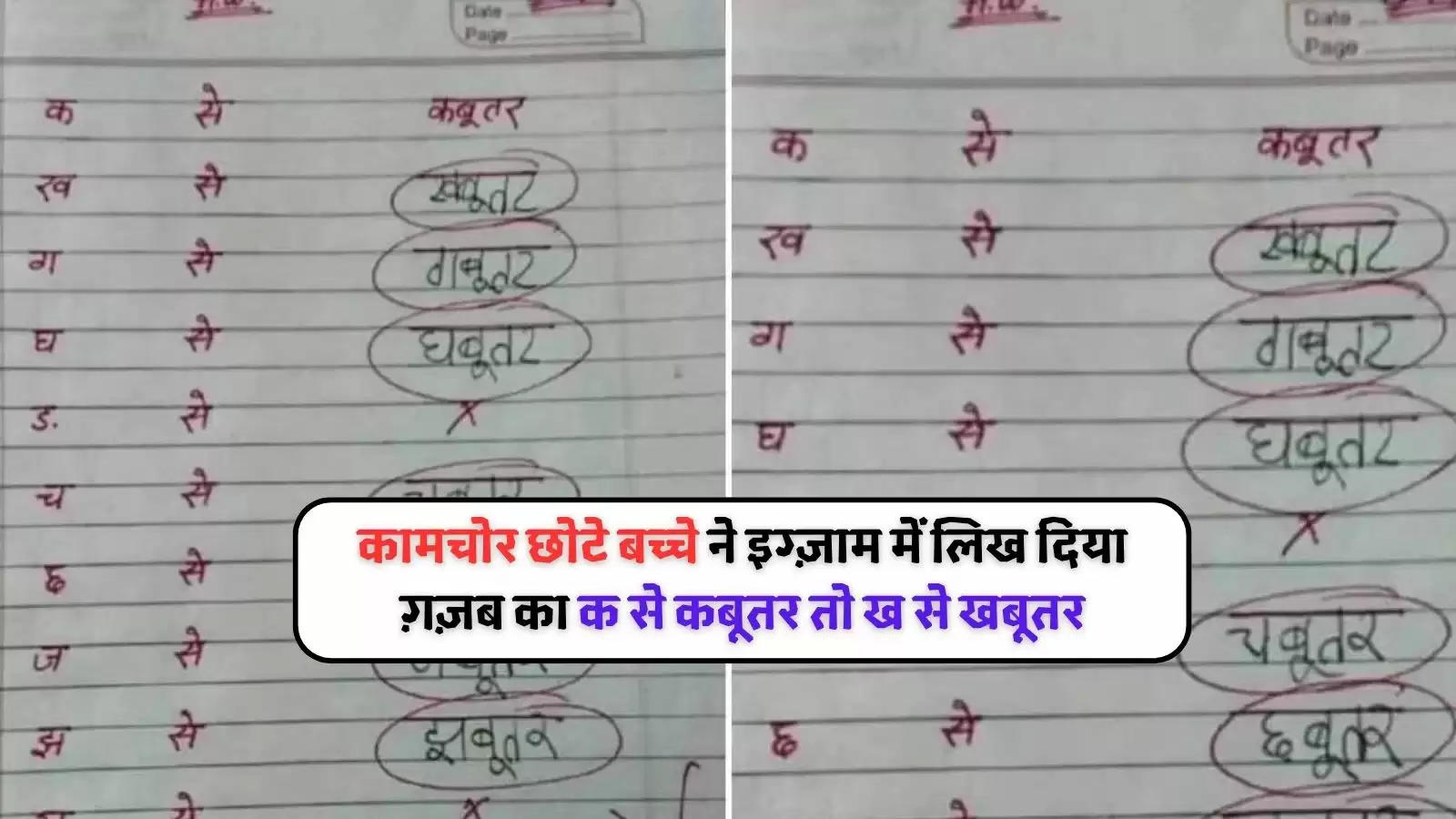 student funny answer