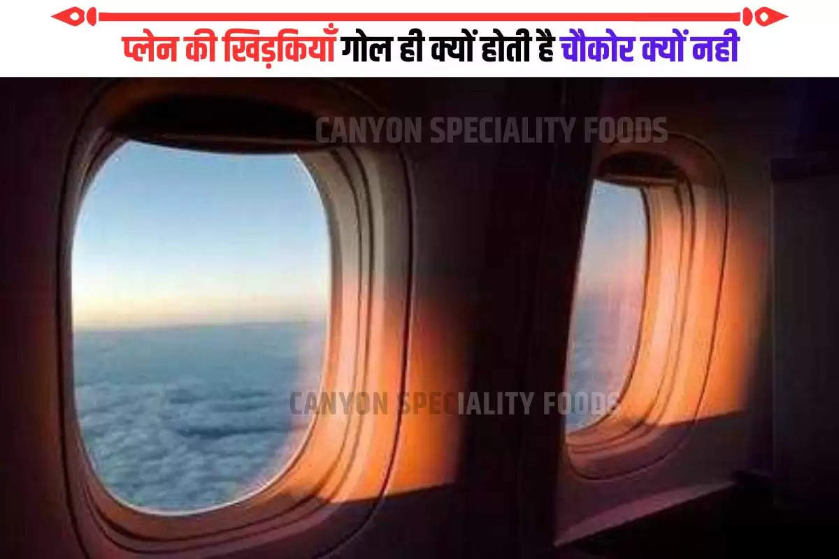 plane window design reason