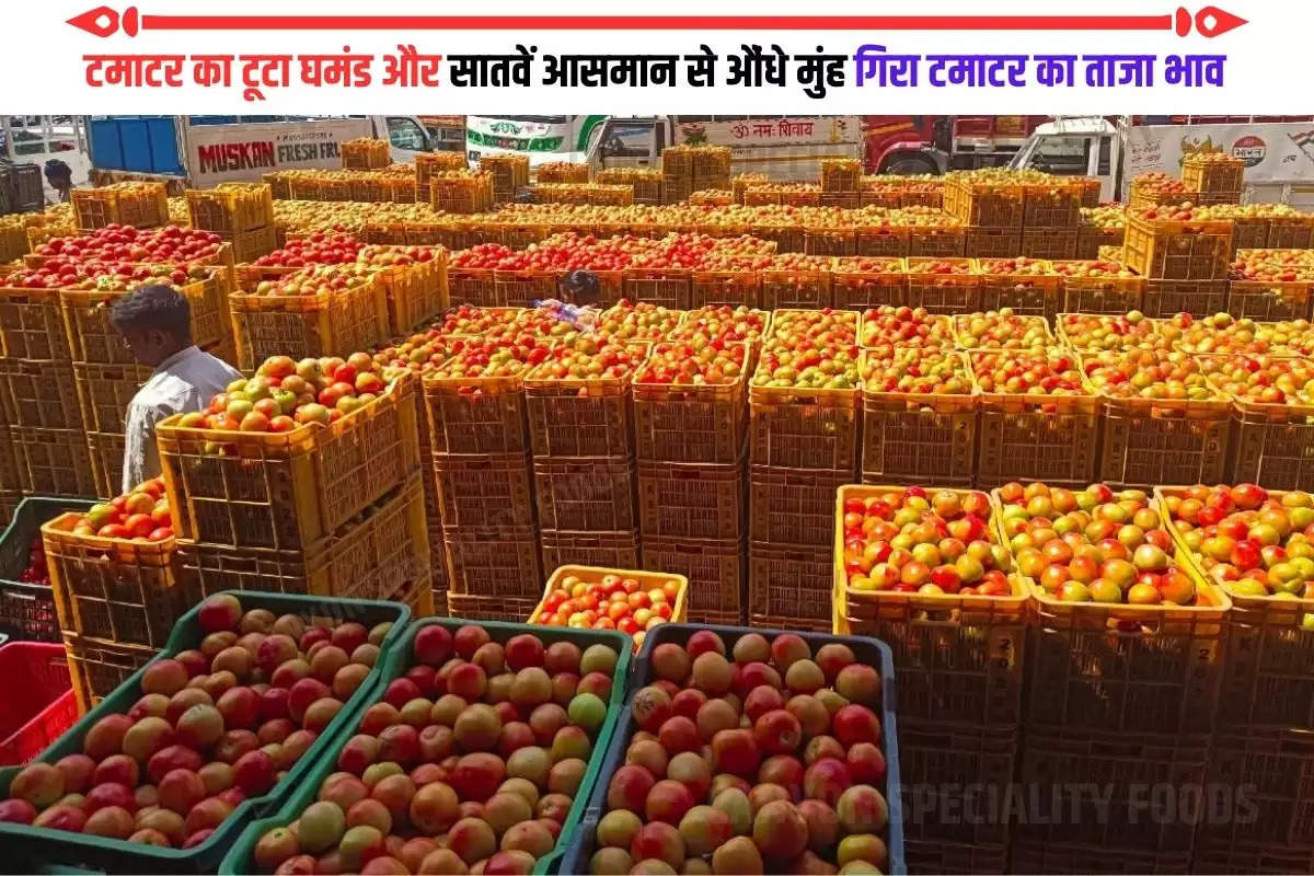 Tomato prices reduced