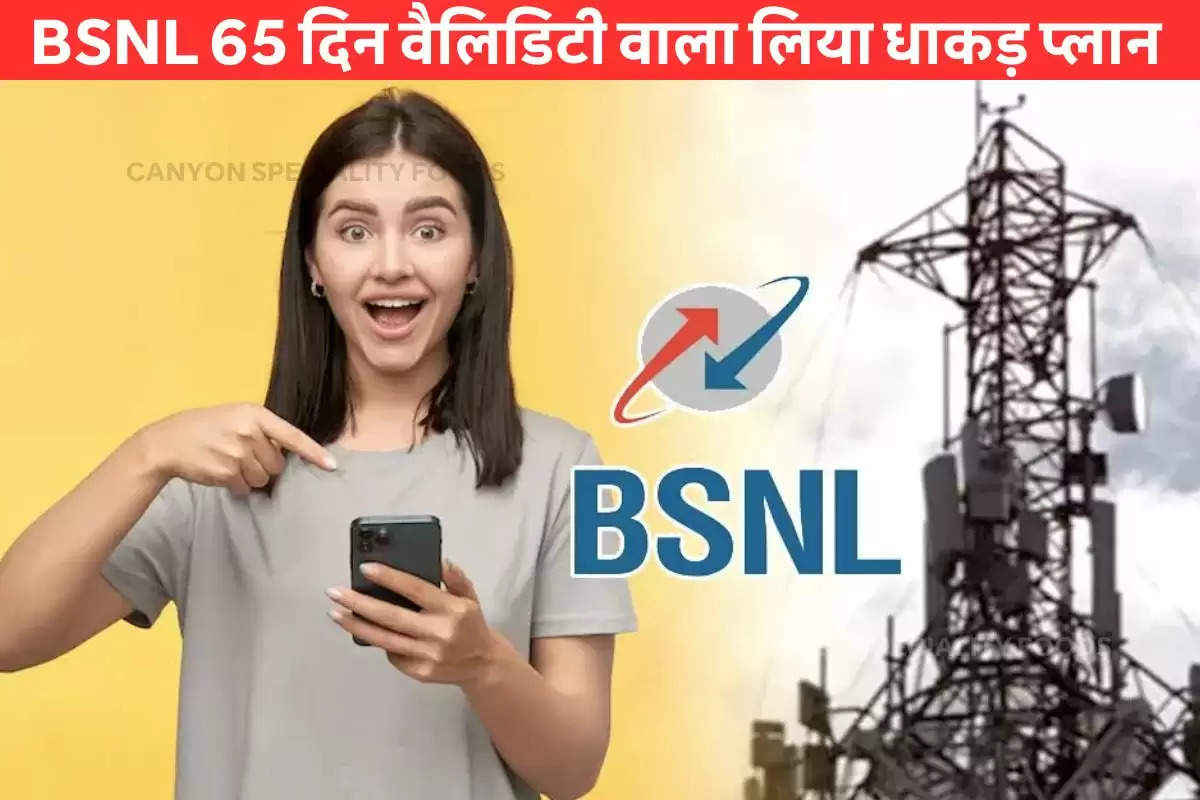 bsnl-new-cheapest-plan-rs-319-offer-65-days