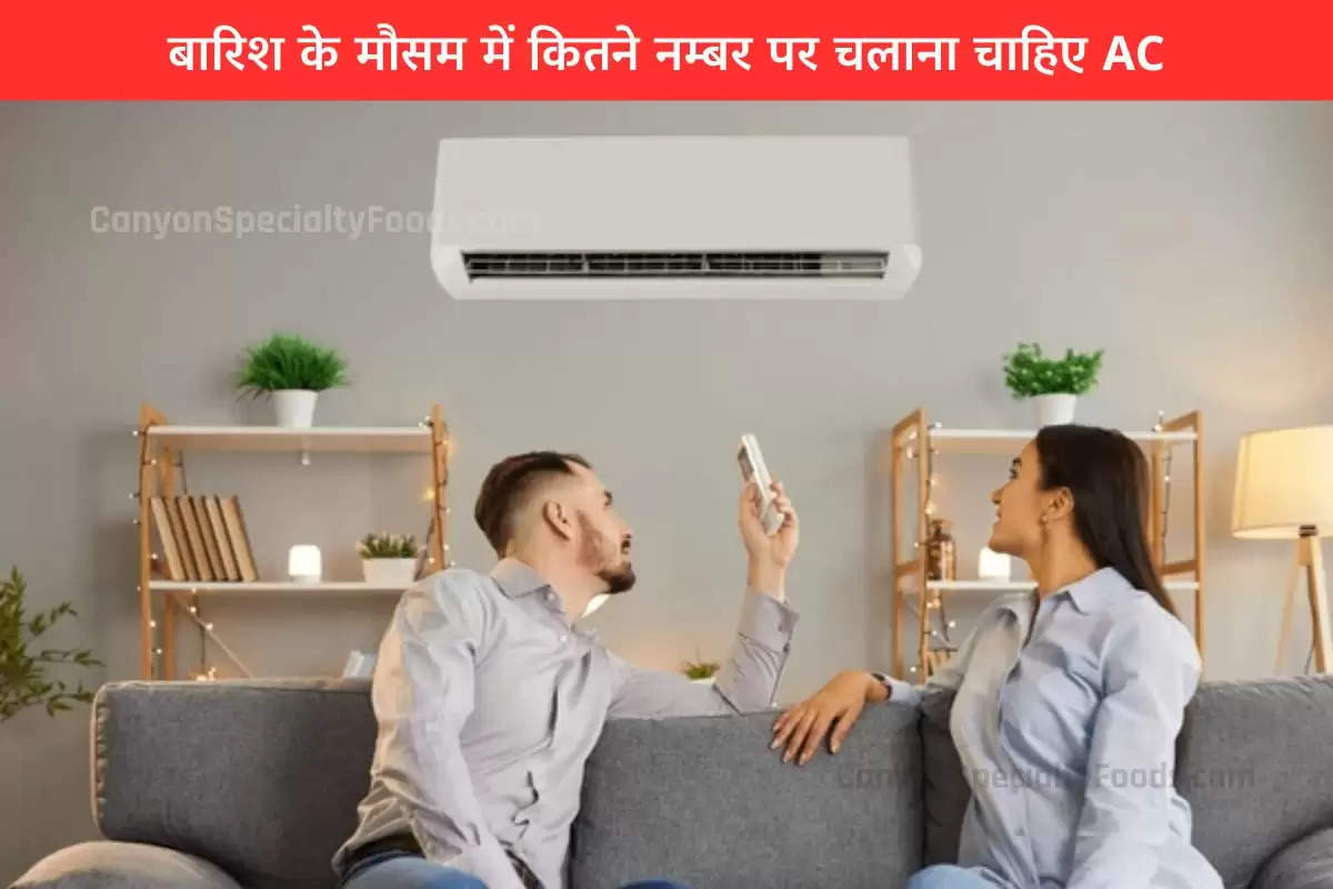 बारिश के मौसम में कितने नम्बर पर चलाना चाहिए AC