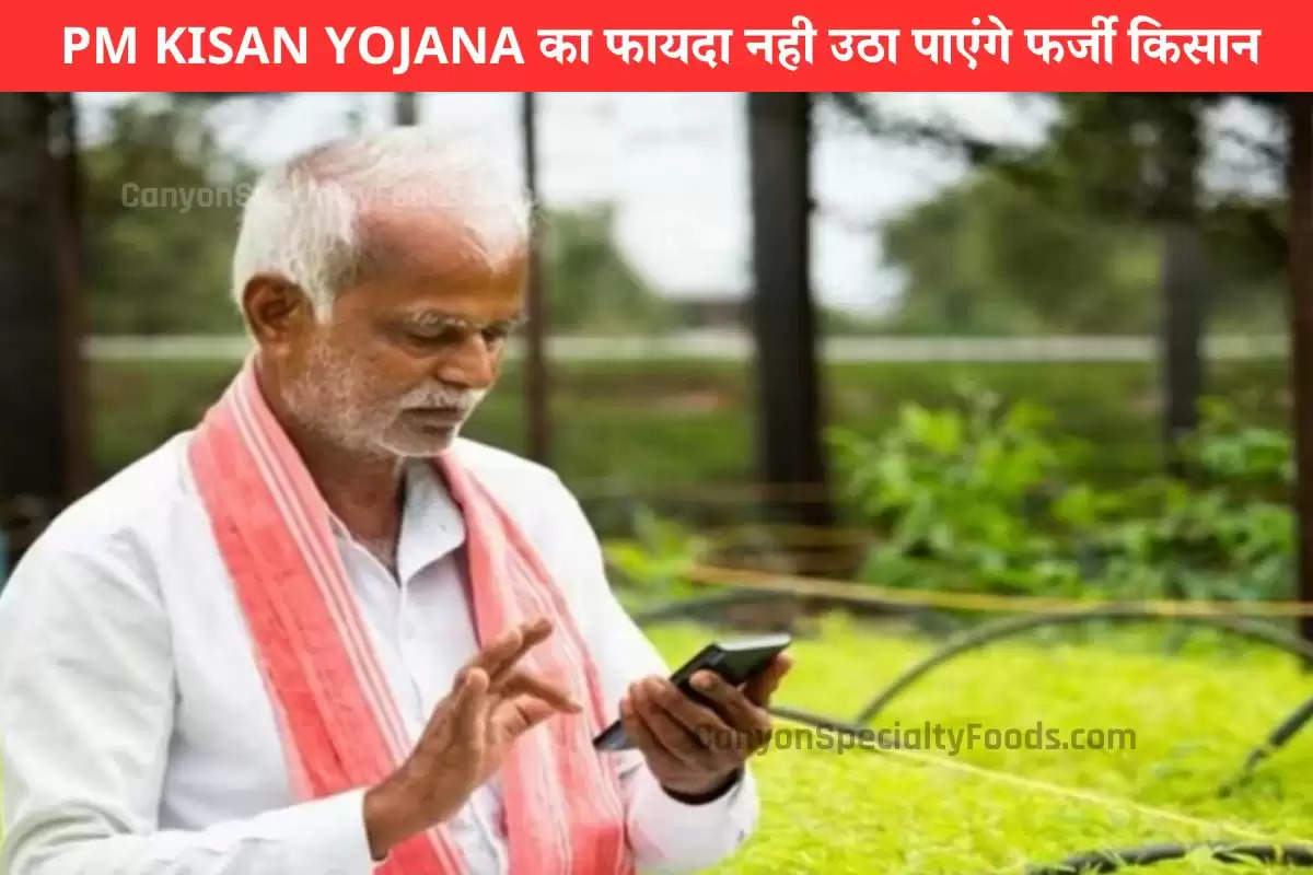 PM KISAN YOJANA का फायदा नही उठा पाएंगे फर्जी किसान