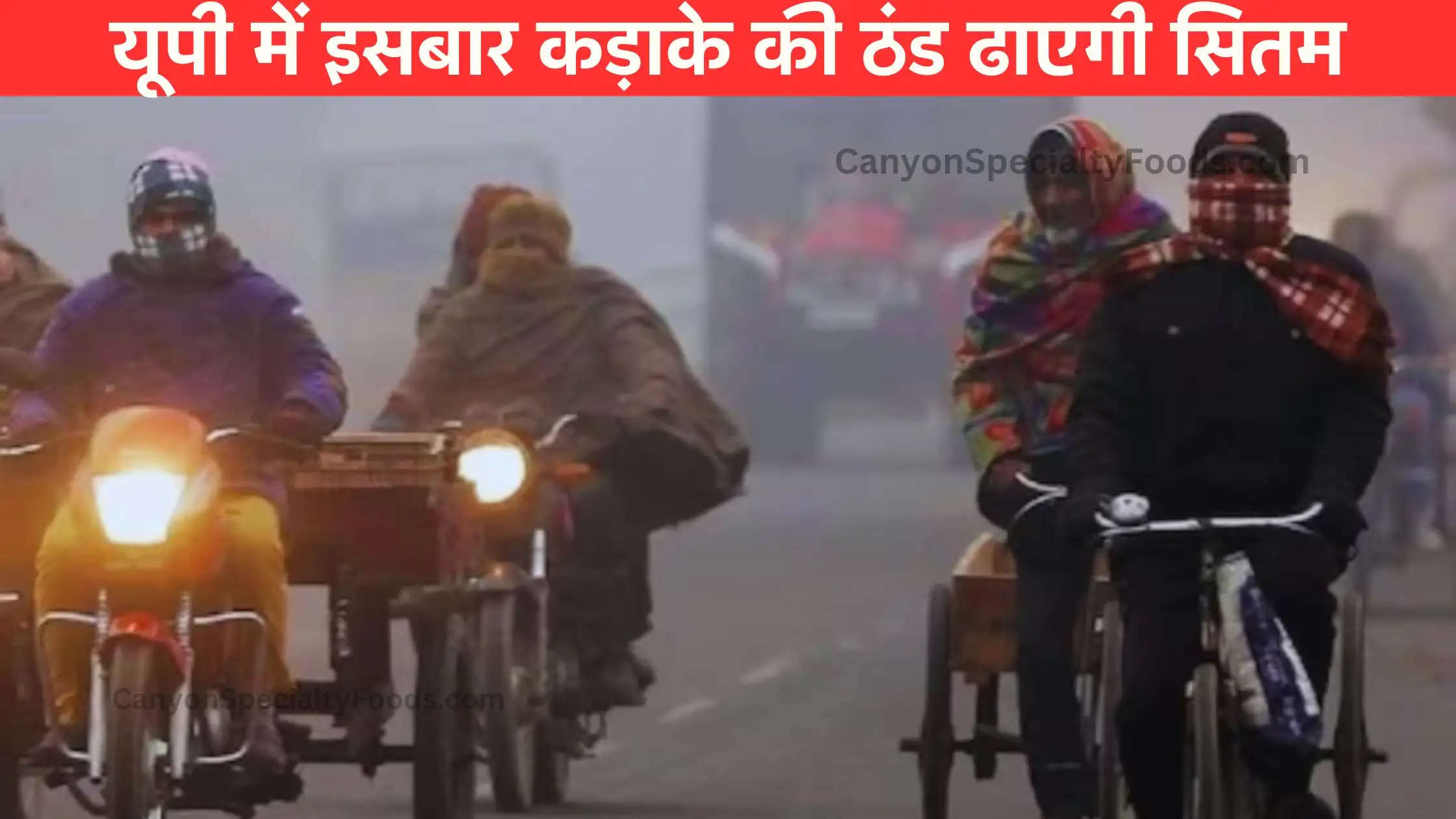 UP Weather Update : यूपी में पड़ने वाली है कड़ाके की ठंड, हो जाएं तैयार, तेजी से बदल रहा मौसम, तापमान में भारी गिरावट