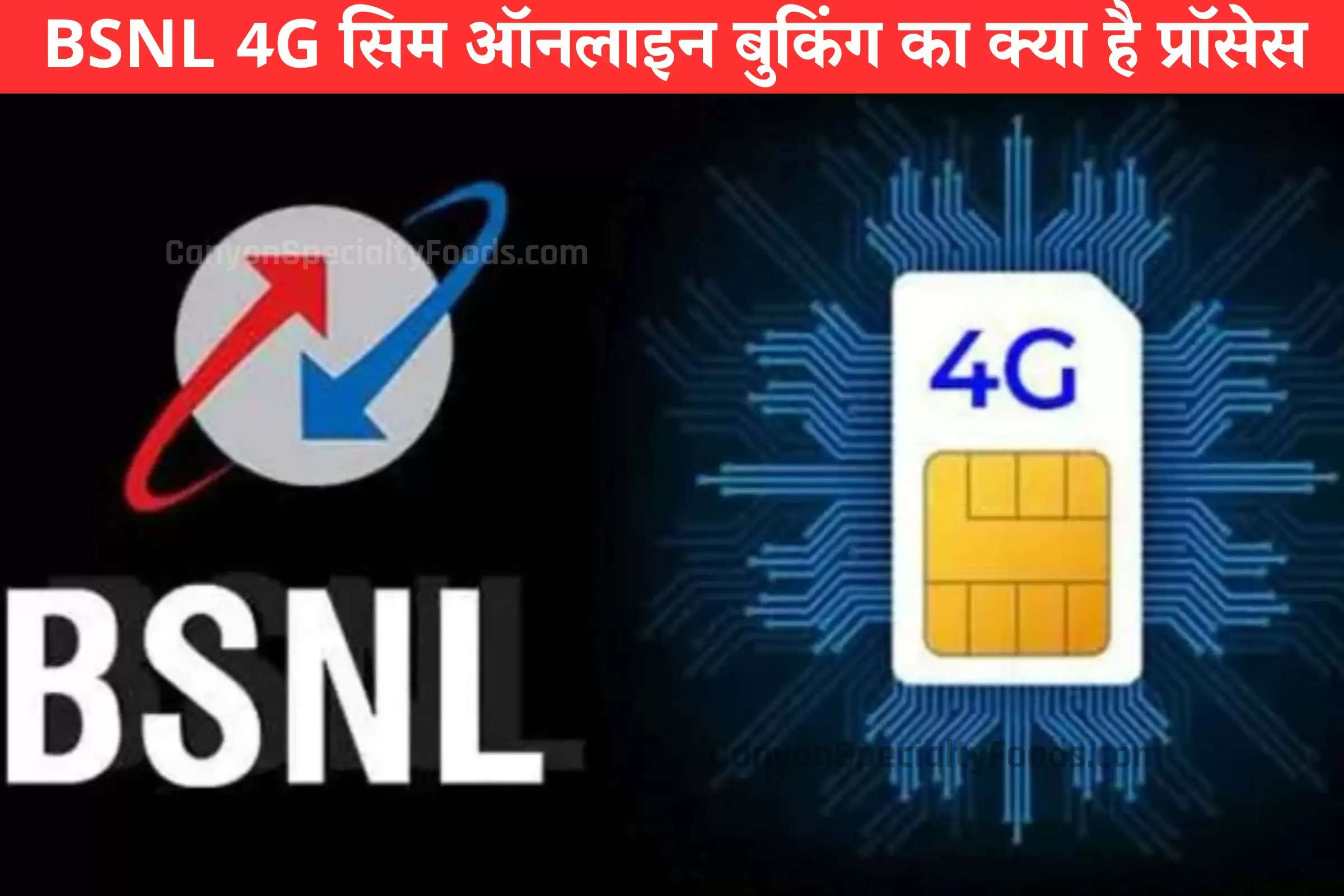 online-booking-of-bsnl-4g-sim