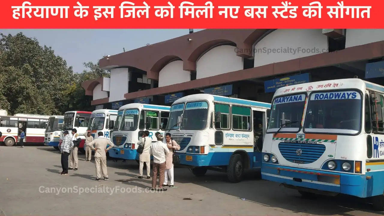 haryana-new-bus-stand