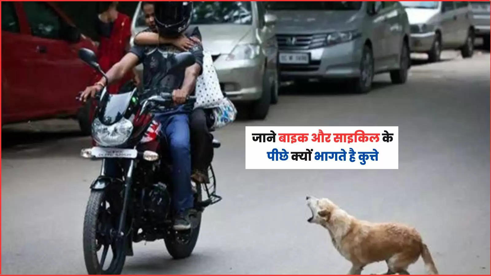 dog started barking to scooter rider