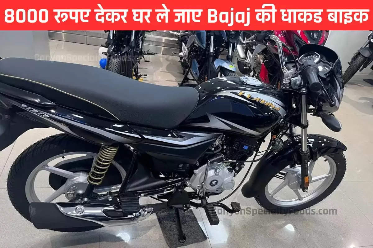 Bajaj Platina 100