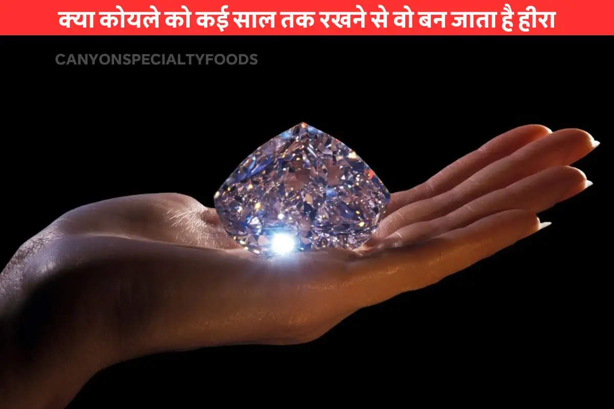 is diamond made by coal