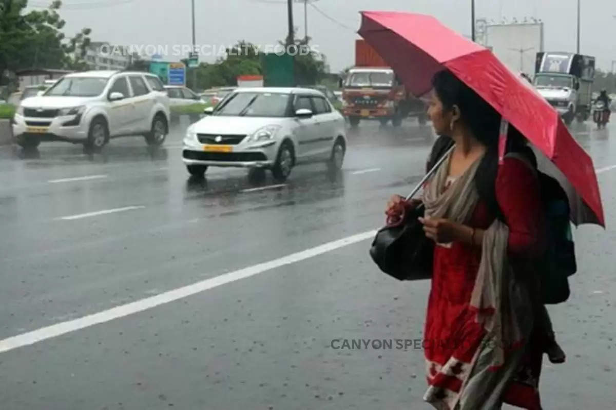 Haryana Weather Update: हरियाणा के इन जिलों में गरज-चमक के साथ होगी झमाझम बारिश, मौसम विभाग ने जारी की चेतावनी