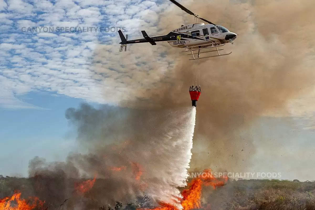 helicopters-which-use-in-uttarakhand-fire-fighting