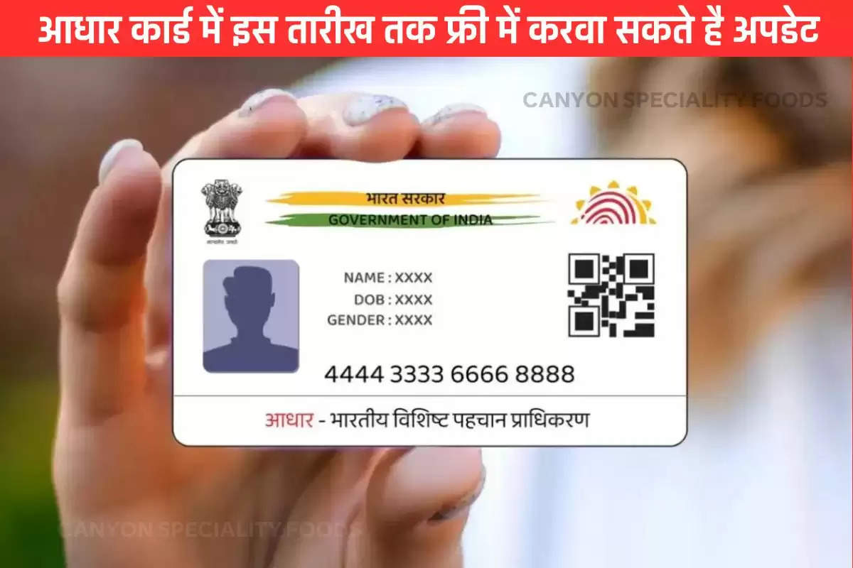 How to Aadhaar Update Free Online