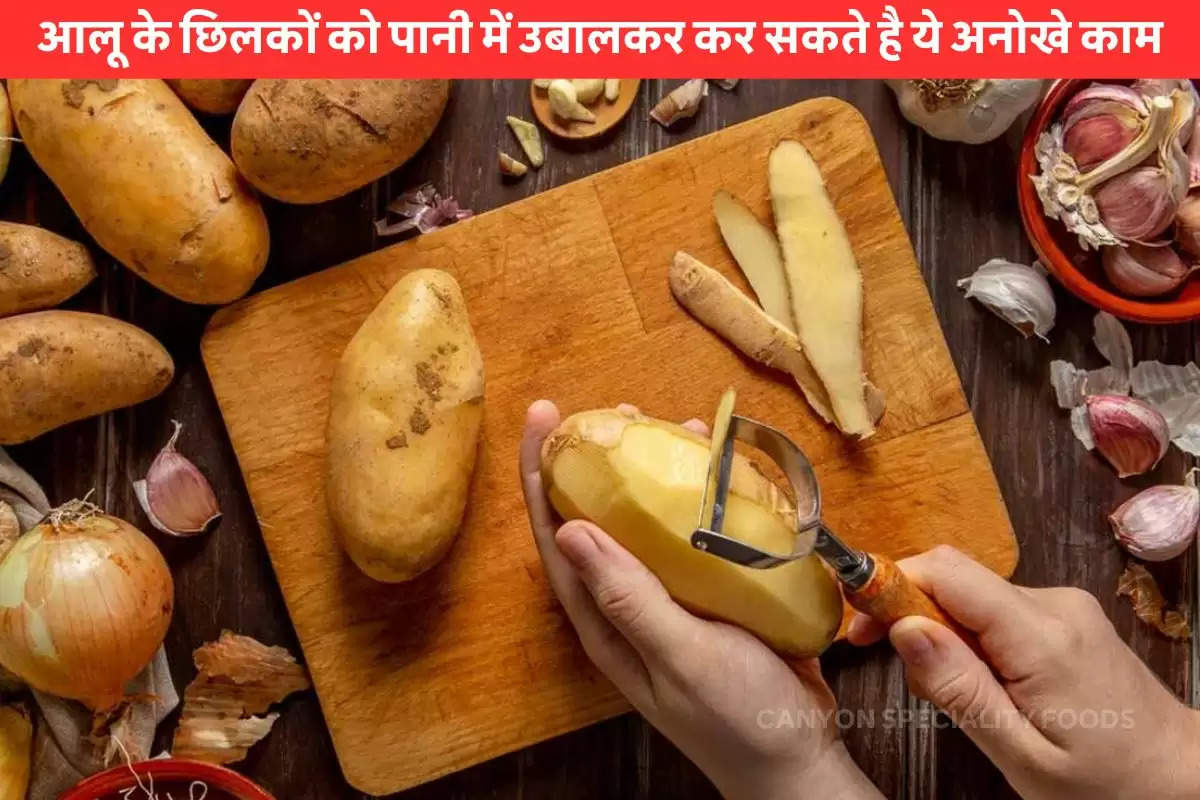 how-to-use-potato-peel-water