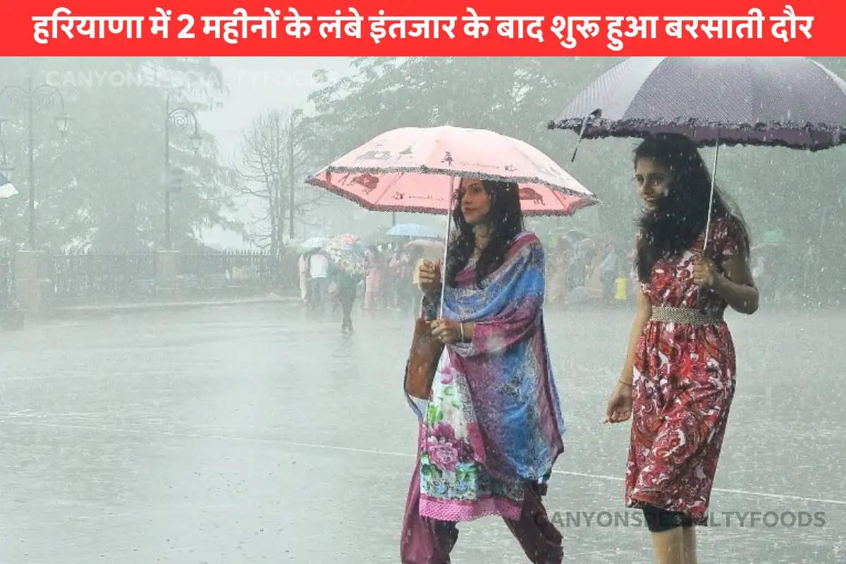 Rainfall in Haryana