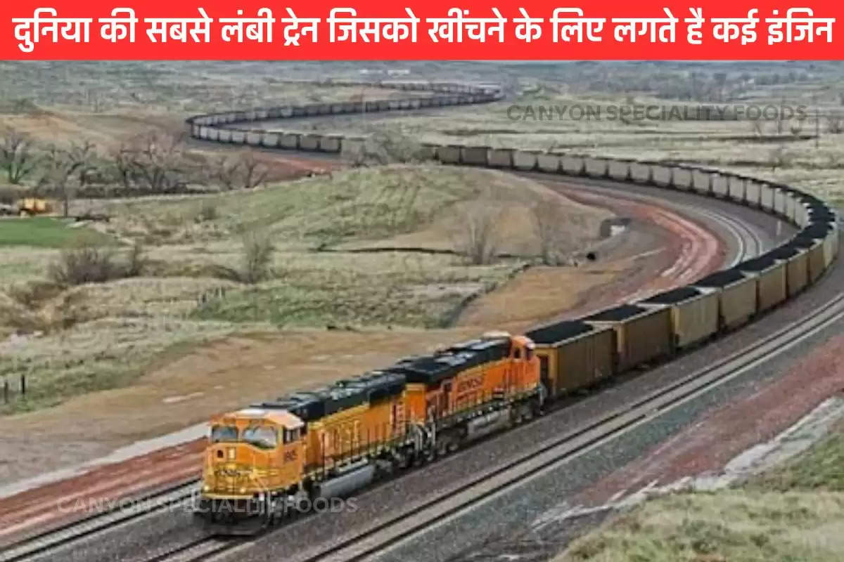 World Longest Train