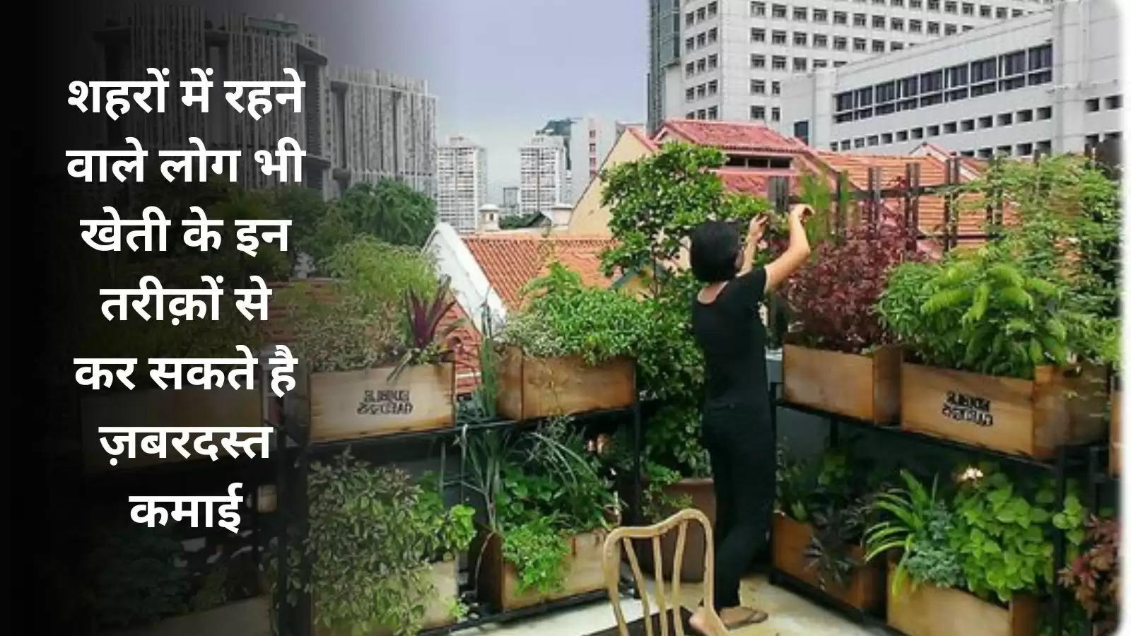 urban-people-earn-profits-rooftop-farming