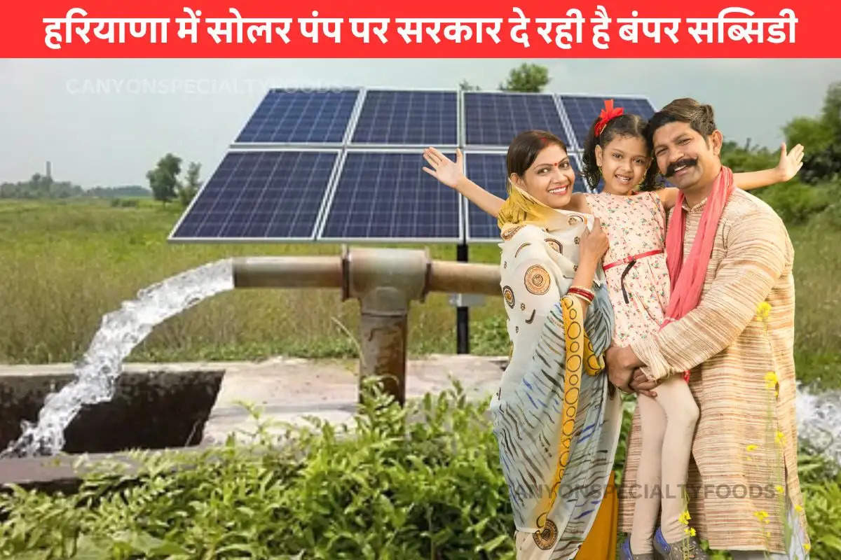 Subsidy On Solar Pump Haryana Farmers