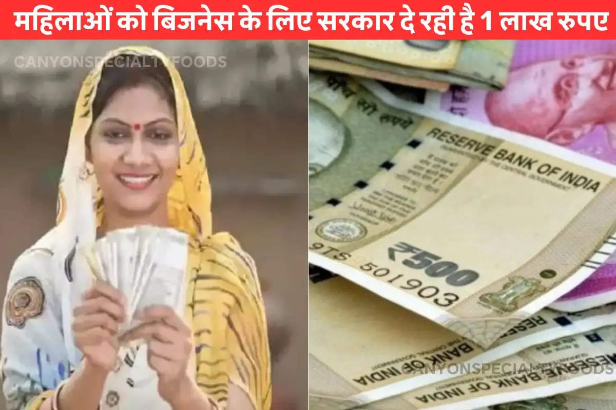 Government is giving Rs 1 lakh to women to start business,