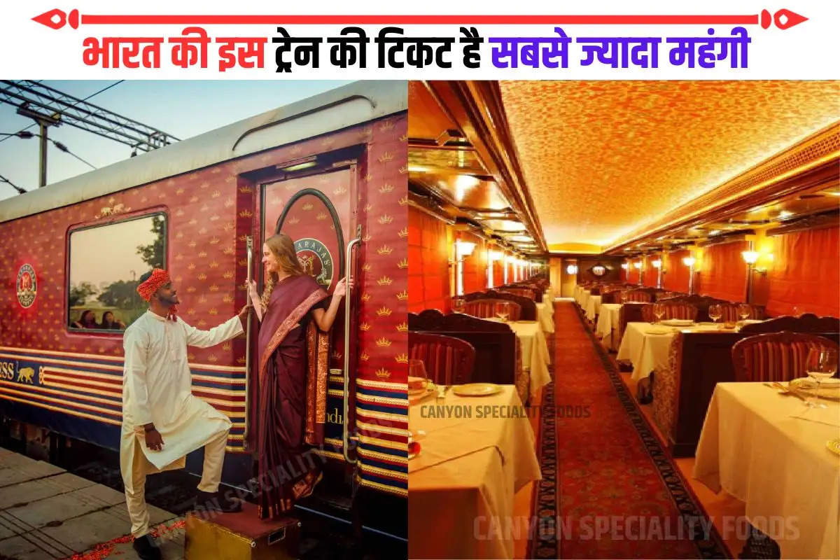 Maharaja Express Train Ticket Fare