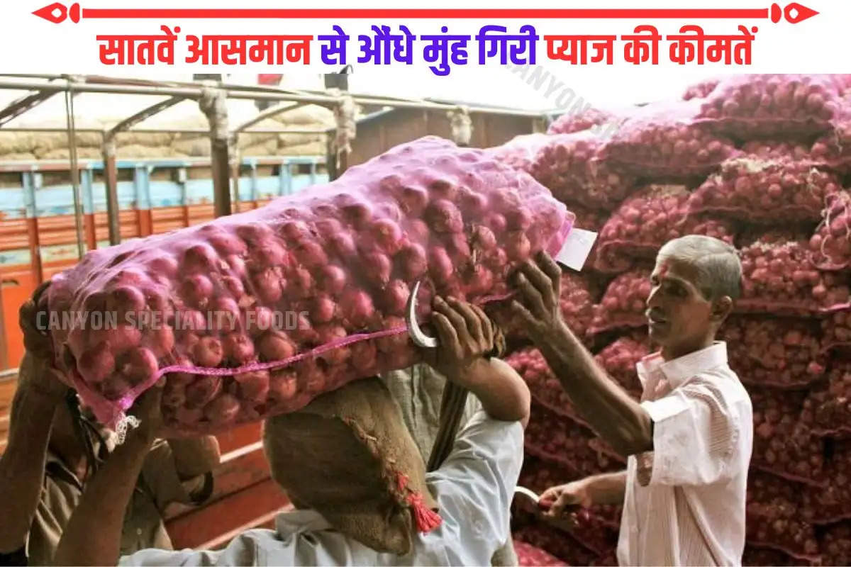 Onion Price Hike