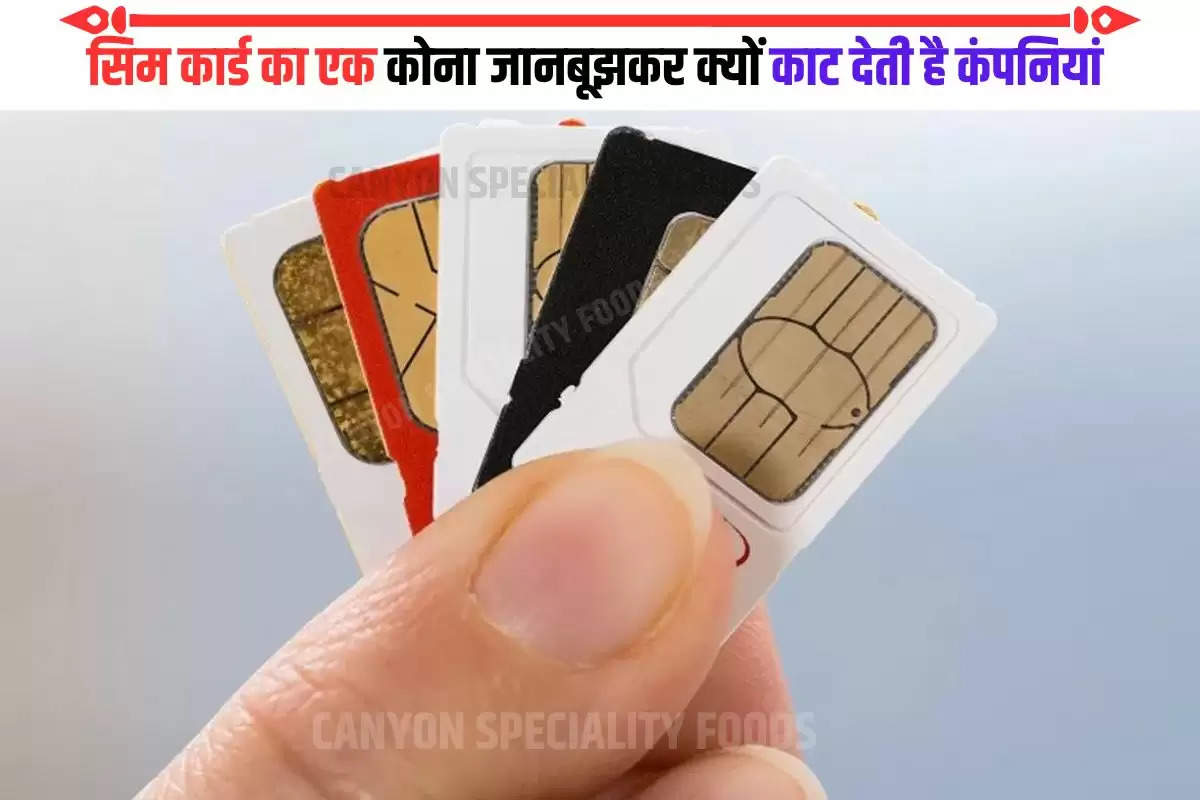 unique cut shape of sim card