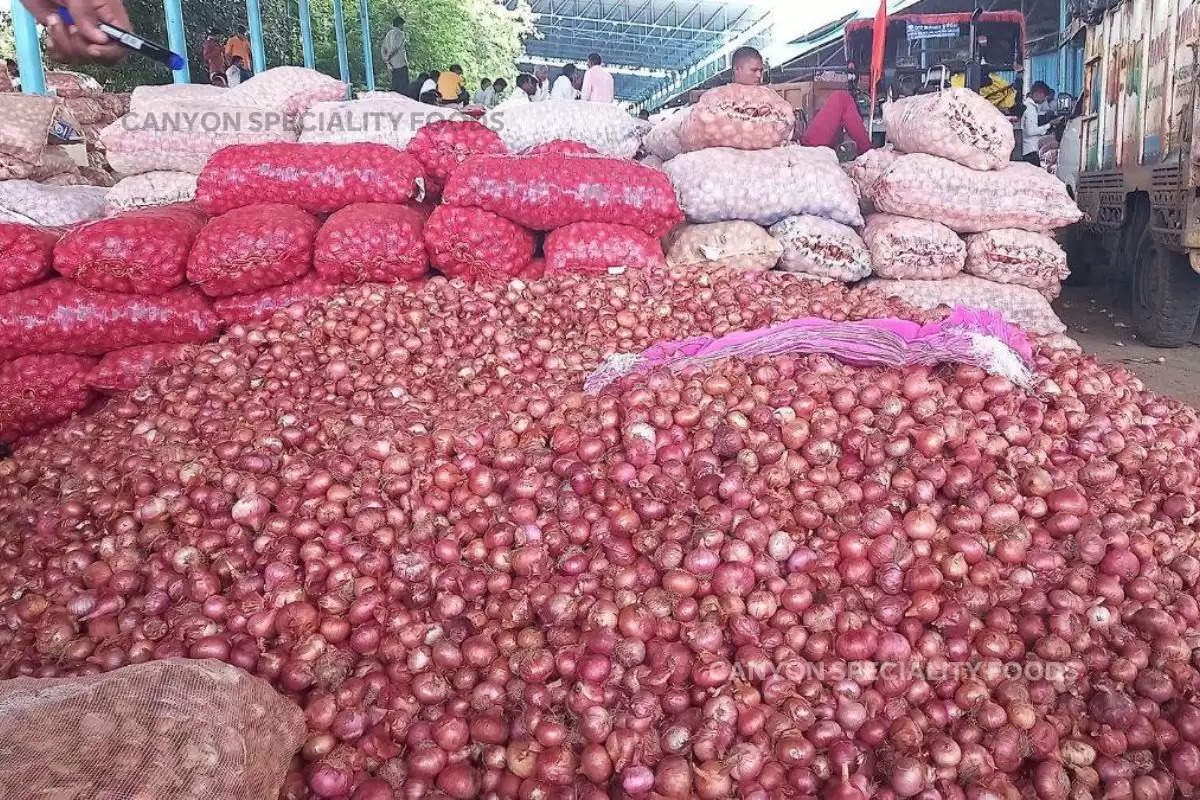 heavy-fall-in-onion-prices-farmers-suffer-loss