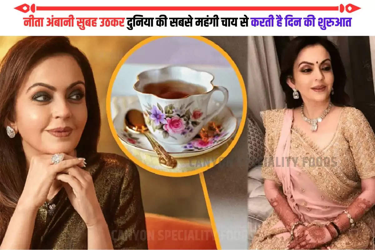 Nita Ambani tea cup price