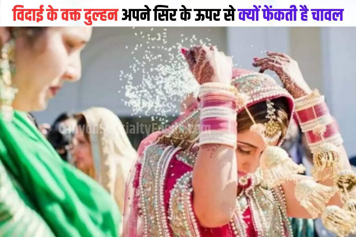 chawal fekne ki rasam dulhan kyun krti hai