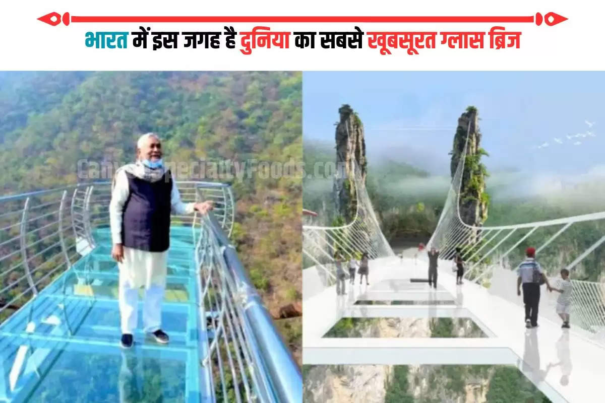 rajgir-glass-bridge-in-bihar-beathtaking-views