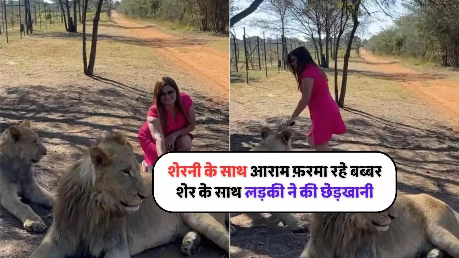 woman touched lion