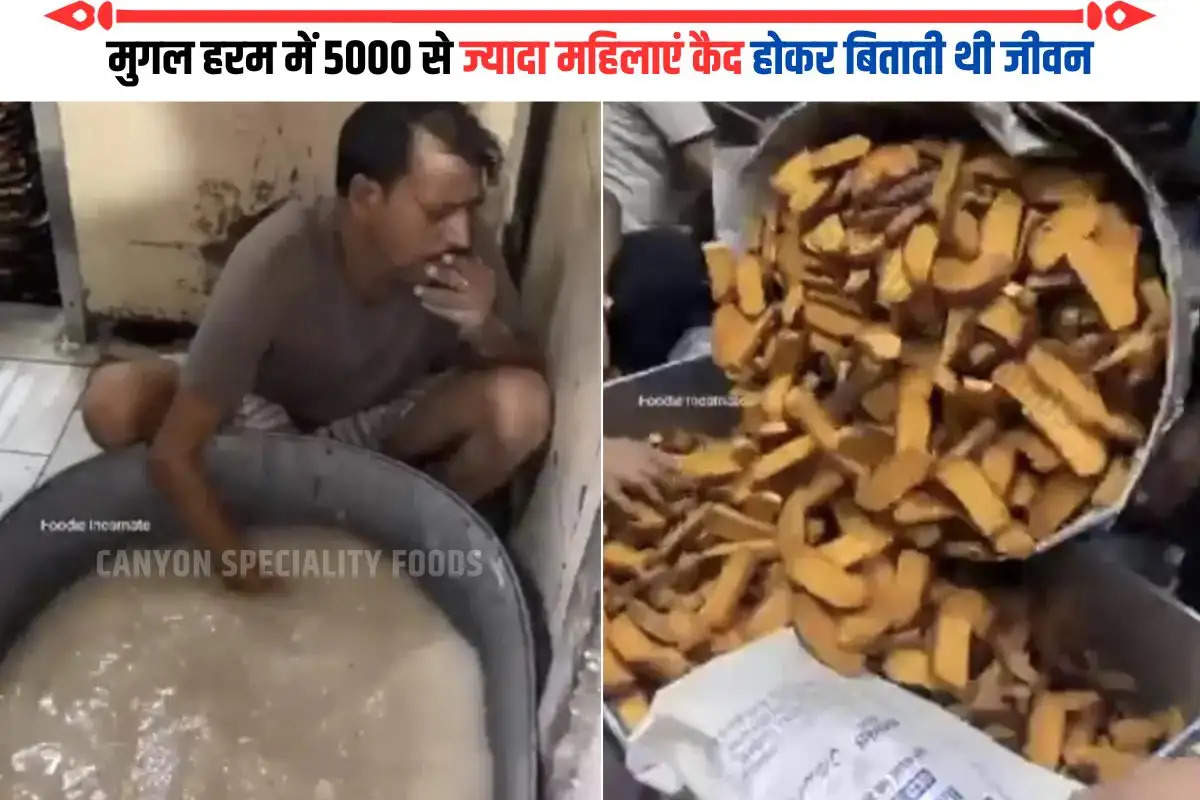 सोशल मीडिया पर आखिर क्यों वायरल हो रहा है Rusk का वीडियो, लोग बोले- 'ये बीड़ी फ्लेवर का है'