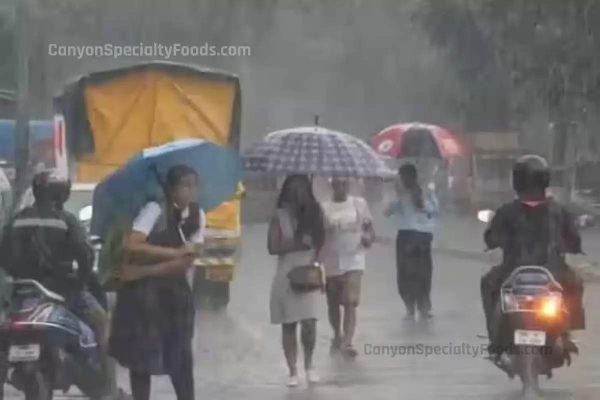 UP Weather: मानसून ने पकड़ी रफ्तार! बरेली समेत यूपी के इन जिलों में भारी बारिश का अलर्ट