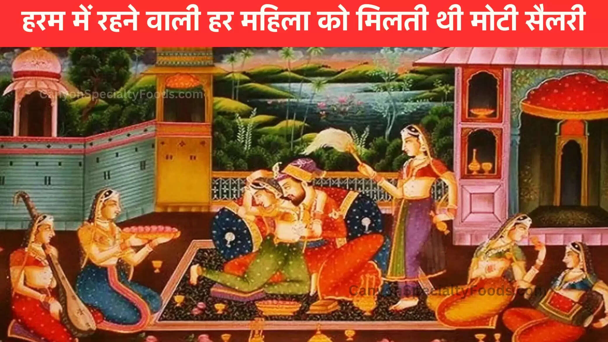हरम में रहने वाली हर महिला को मिलती थी मोटी सैलरी