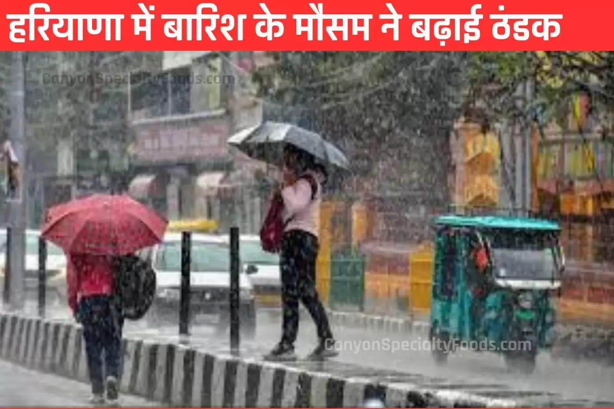 हरियाणा में बारिश के मौसम ने बढ़ाई ठंडक