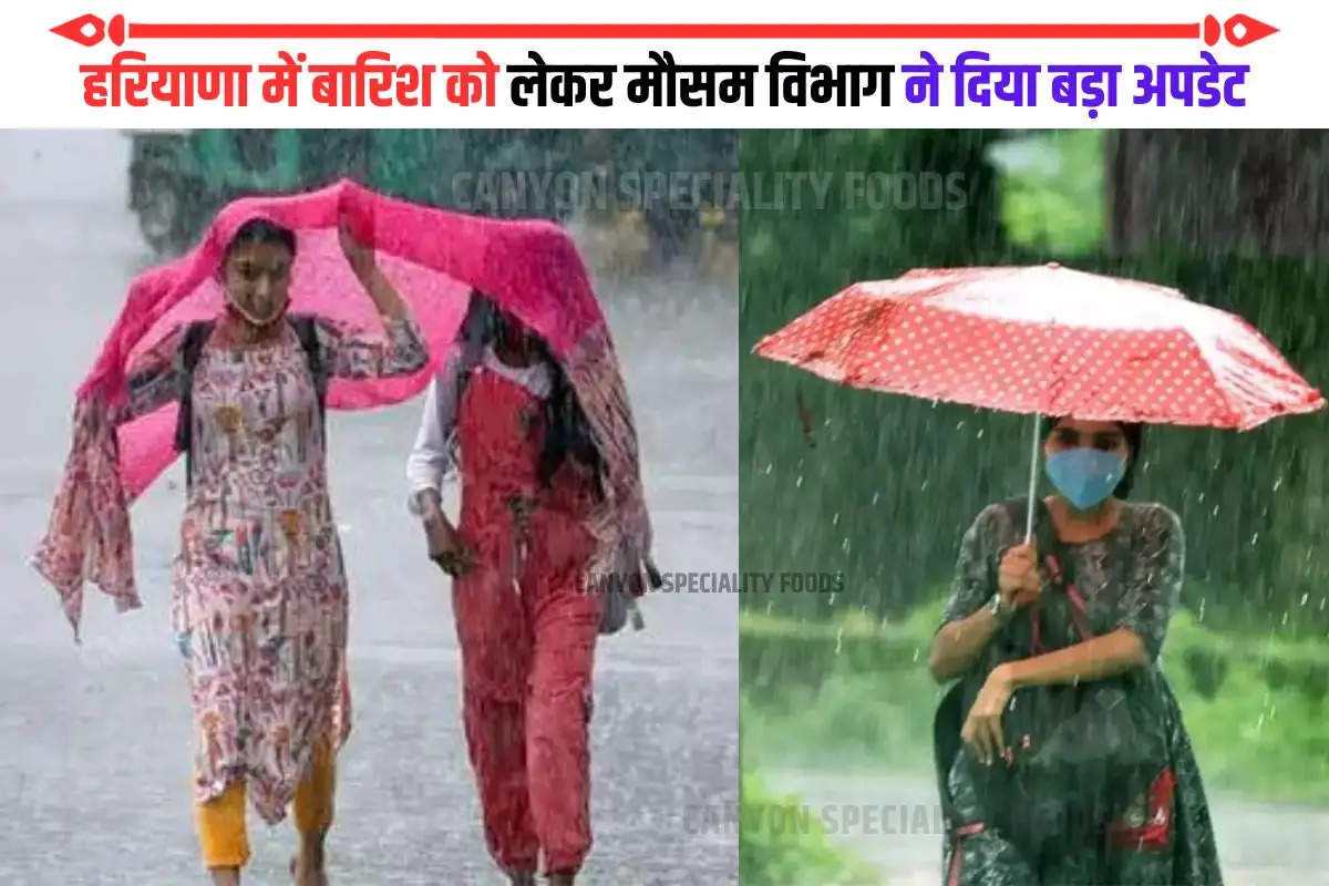 Haryana Weather Update (4)