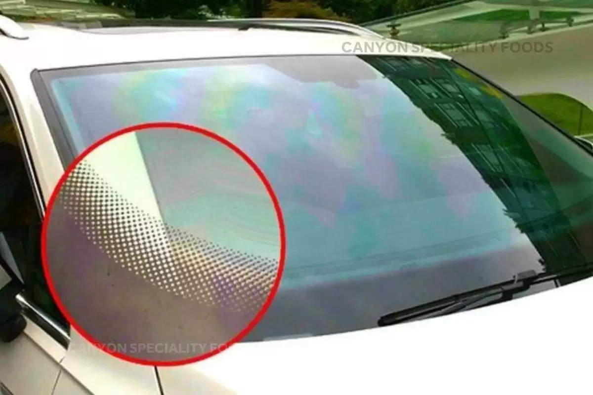 car windshield black dots