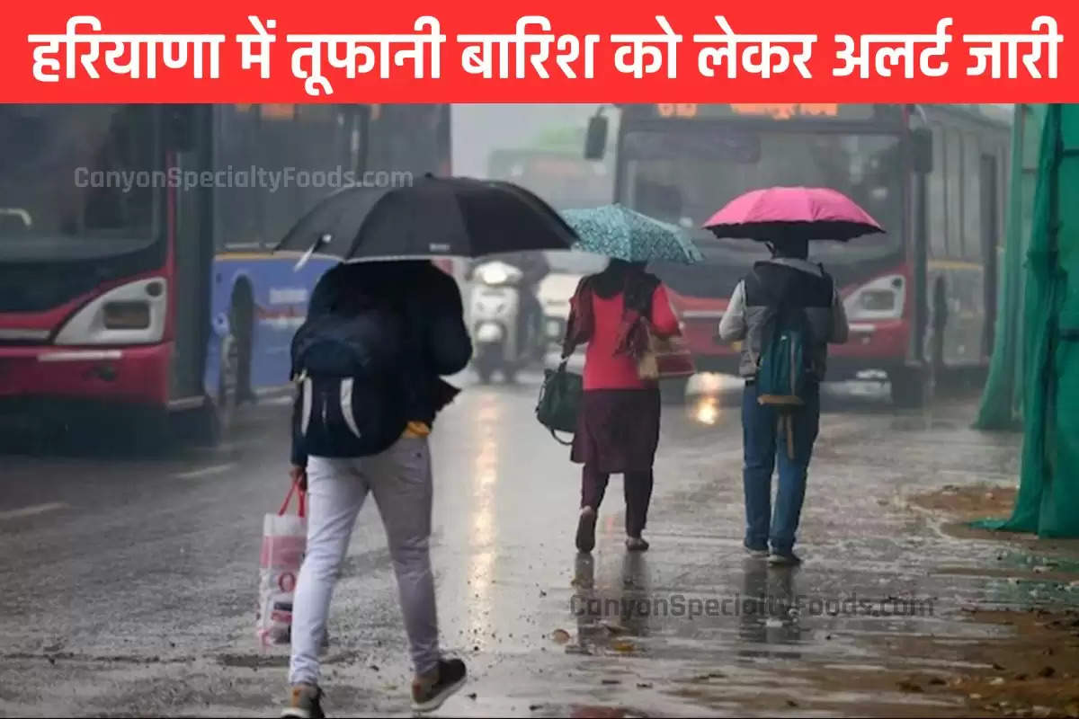 Haryana Weather: हरियाणा में फिर मानसून की वापसी; तूफानी बारिश का अलर्ट