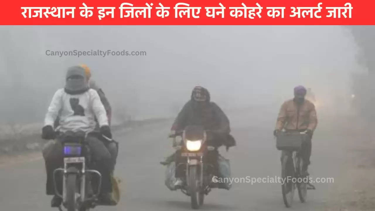 Rajasthan Weather Update: राजस्थान के मौसम में अचानक तगड़ा बदलाव, इन जिलों में घने-अति घने कोहरे की चेतावनी जारी