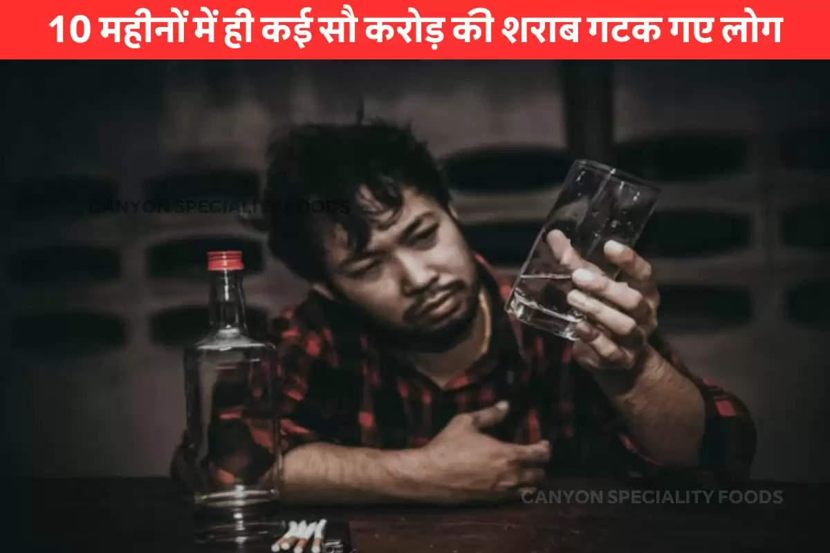 himachal liquor news