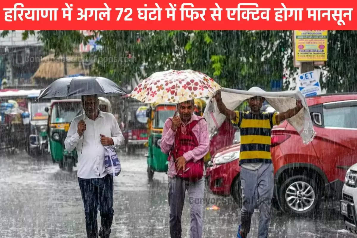 haryana-weather-alert