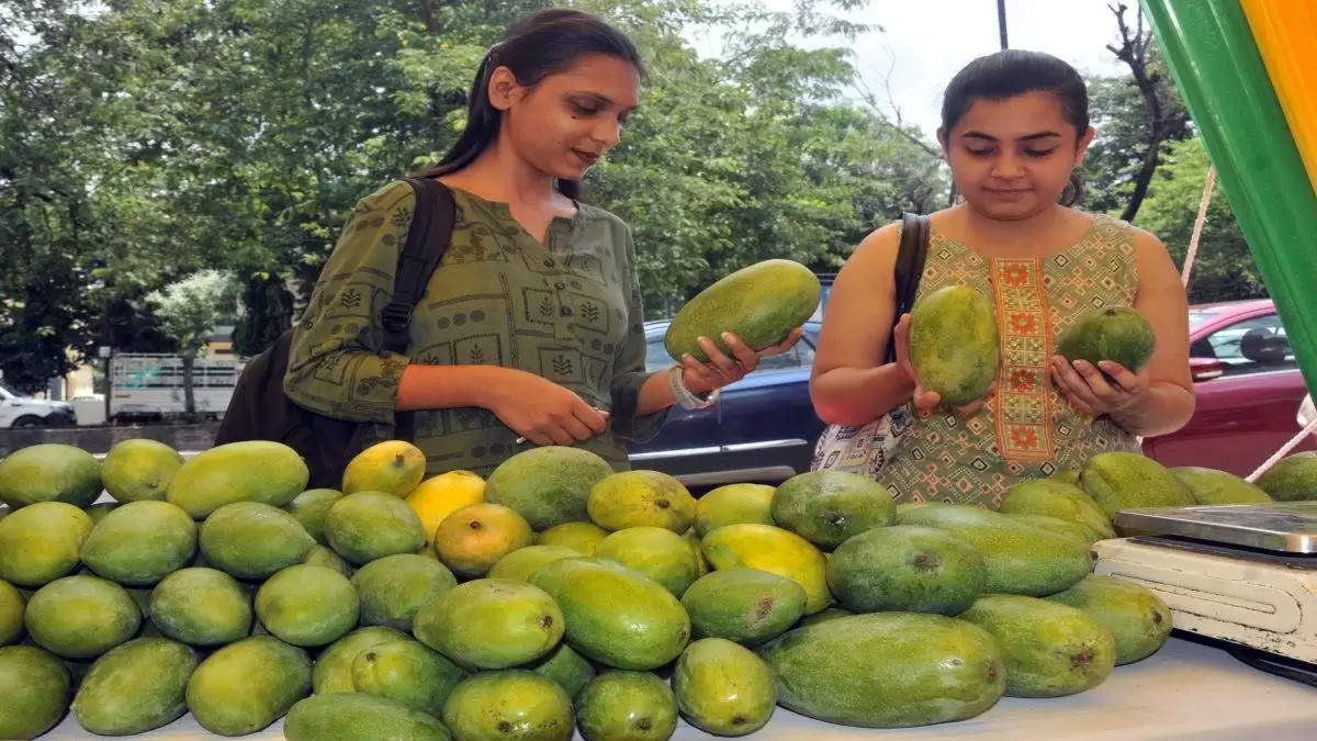 गलत अकाउंट में पैसे भेज दिए हो तो कैसे मिलेंगे वापस, घबराने की जगह जल्दी से कर ले ये काम