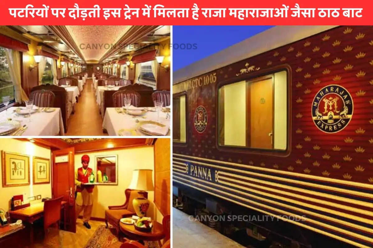 Luxury and Expensive Train In India