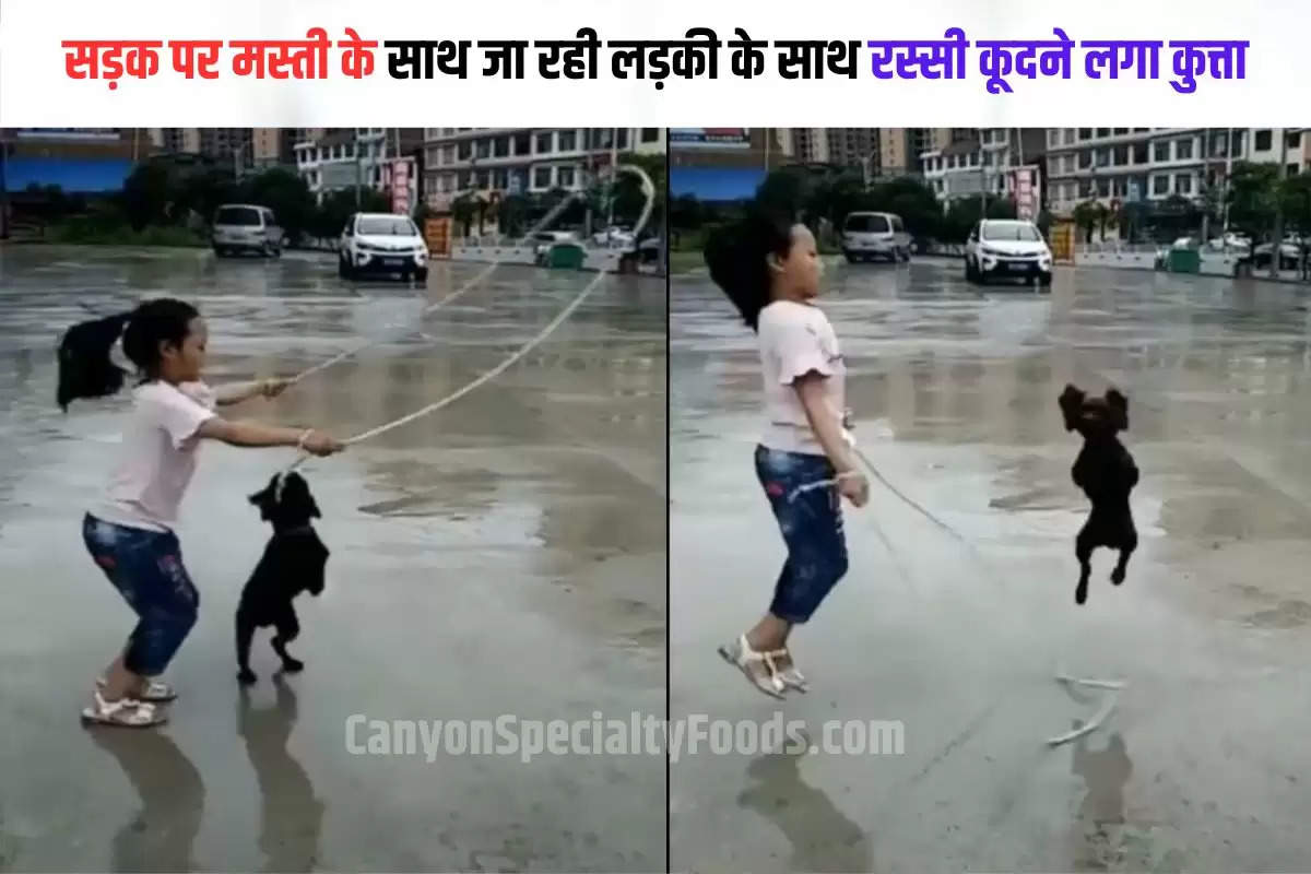 dog and girl Viral Video