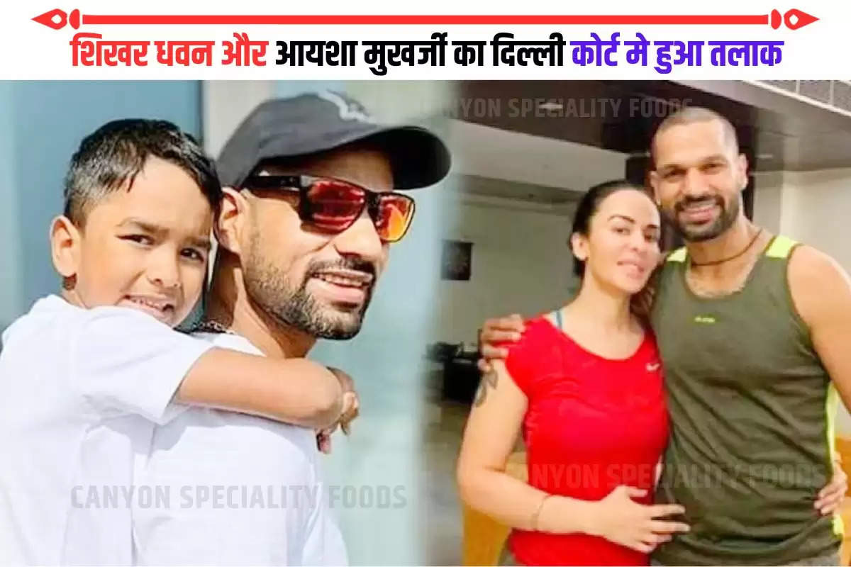 Shikhar Dhawan Divorce