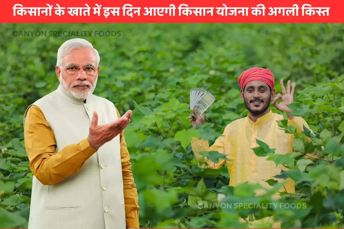 PM Kisan Samman Nidhi Yojana 16th Installment